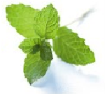 Табак для кальяна Nakhla 