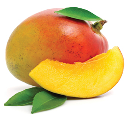 Табак для кальяна Nakhla Fakhfakhina 